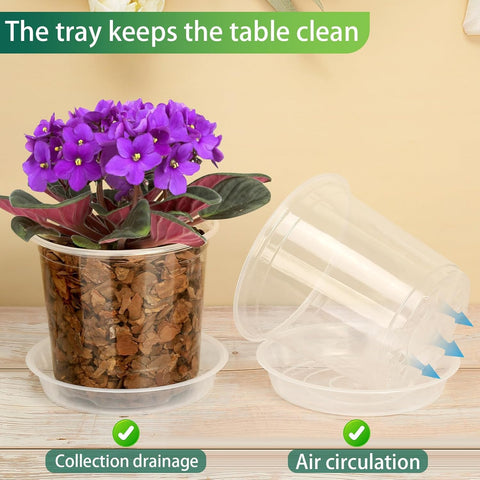 HQAUT clear nursery pot 10-inch large view for transplant planning