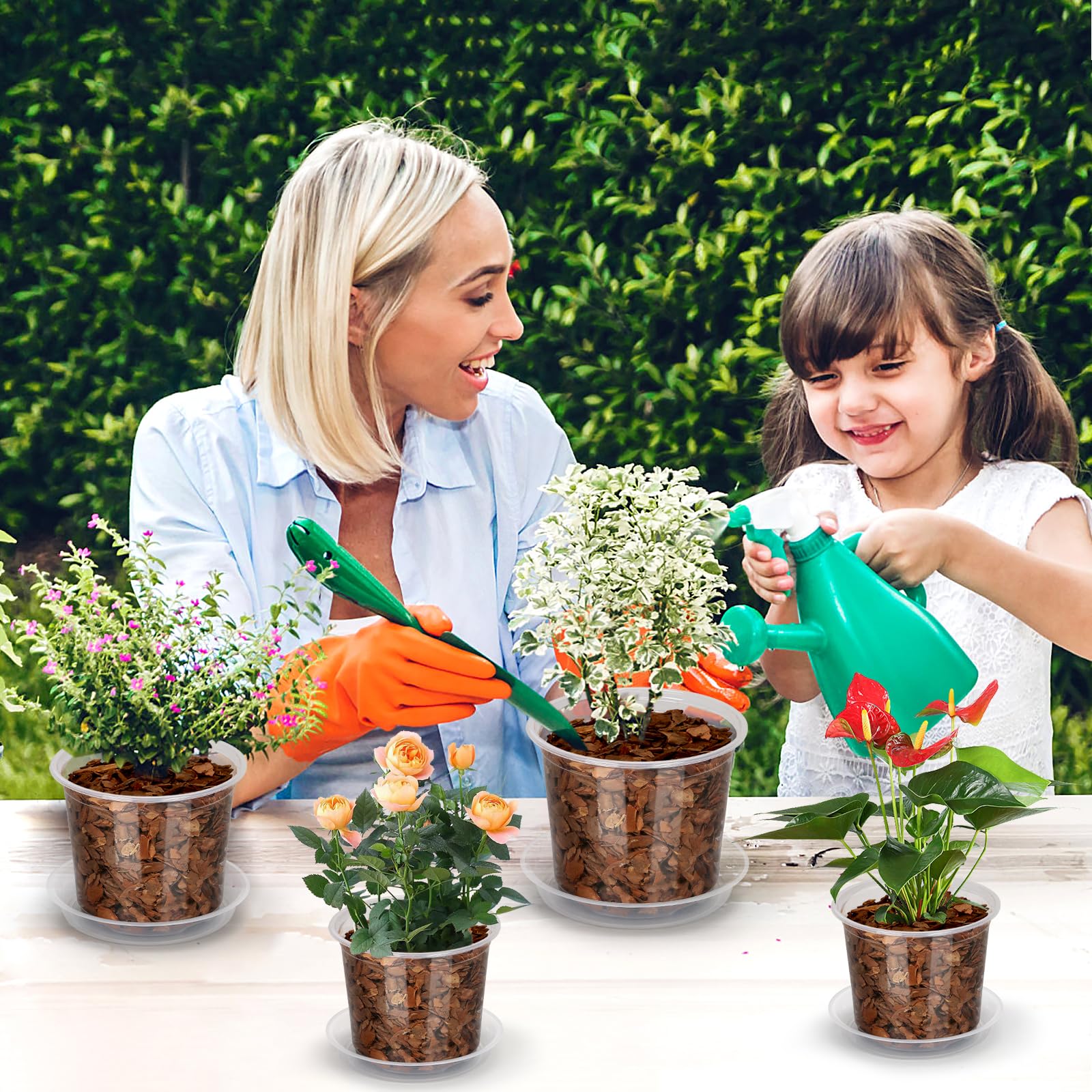 HQAUT 24-pack clear pots set for compact organization and growth stages