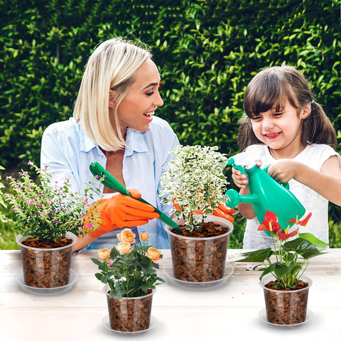 HQAUT 24-pack clear pots set for compact organization and growth stages