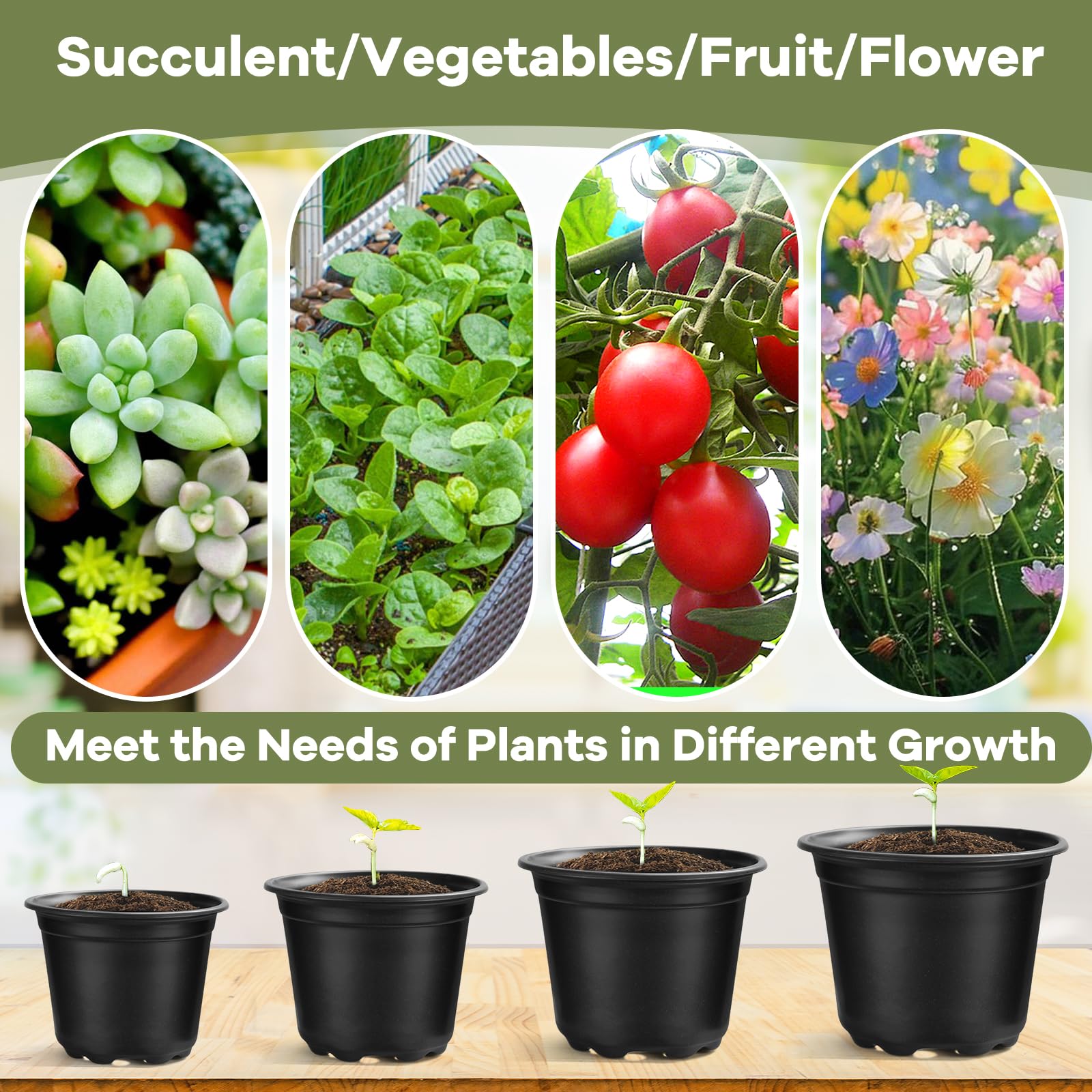 HQAUT pots are ideal for succulents, seeds, cuttings, and transplanting.