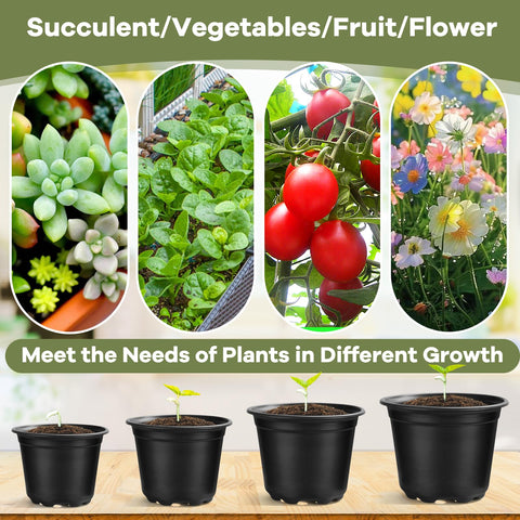 HQAUT seedling pots are ideal for succulents, cuttings, and young plants.