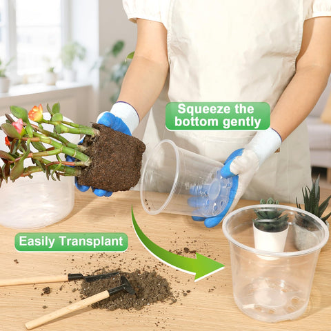 HQAUT transparent root-monitoring pot showing root growth clearly.