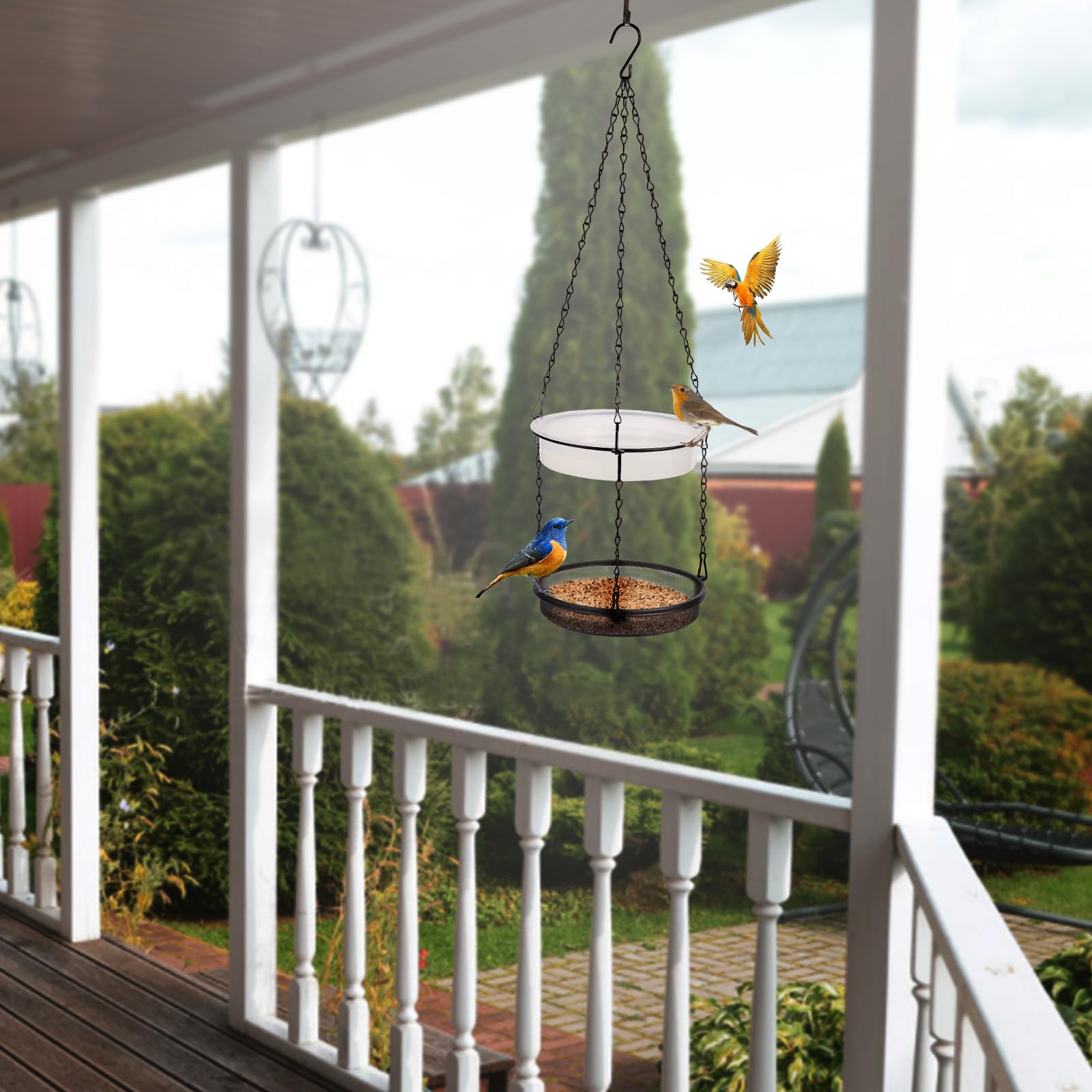 HRAYLTOP outdoor bird-attracting setup supports enjoyable backyard wildlife watching