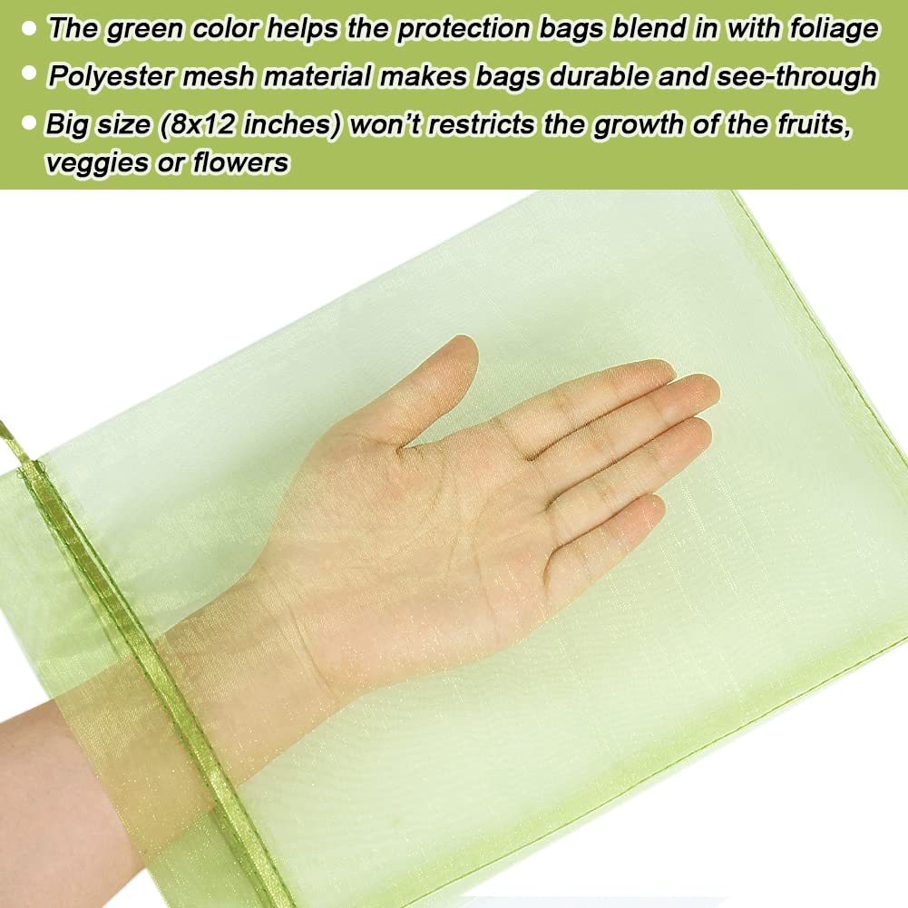 HRX Package cover-fruit-growth bag over growing produce to deter pests