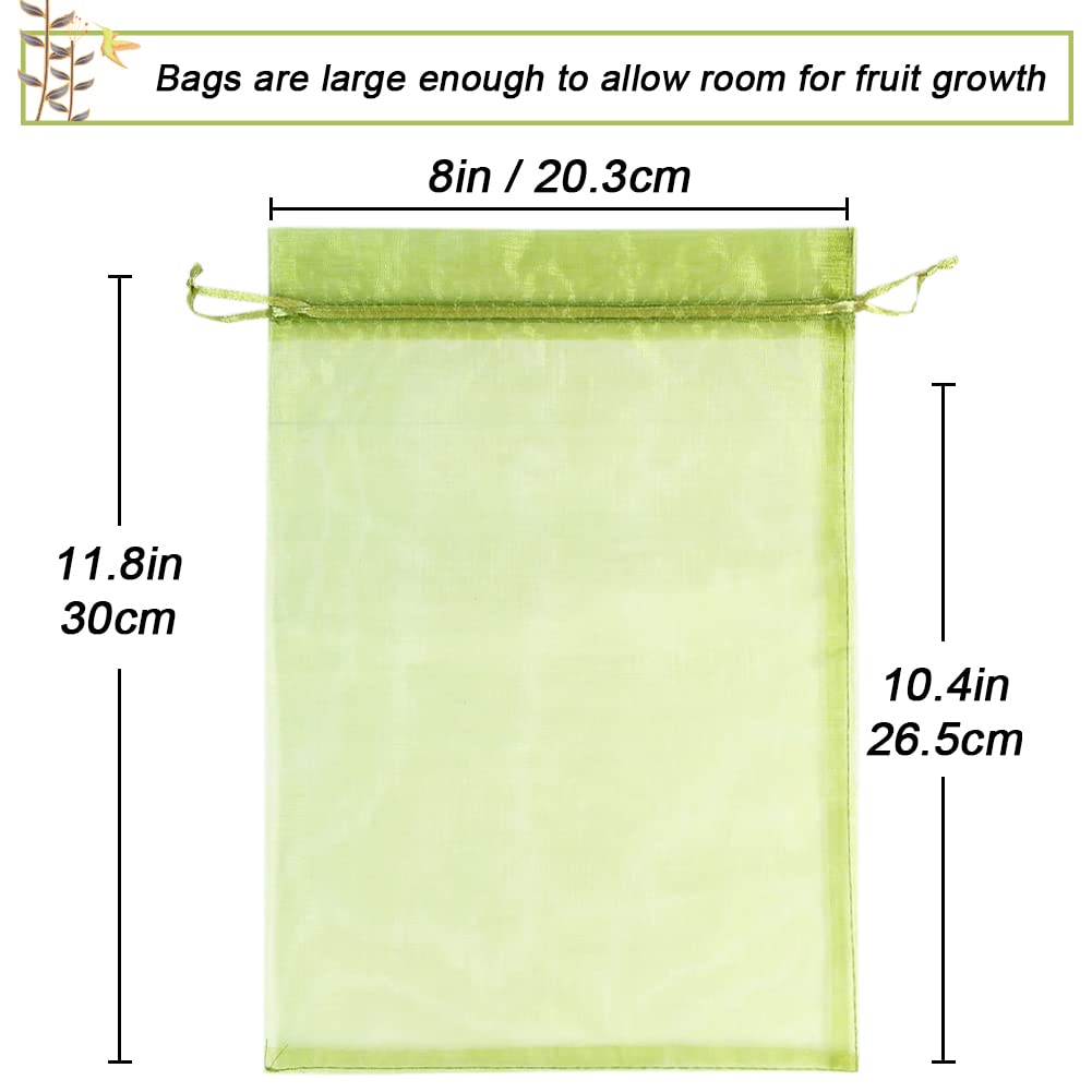 HRX Package mesh-breathable bag demonstrates airflow protecting fruit health