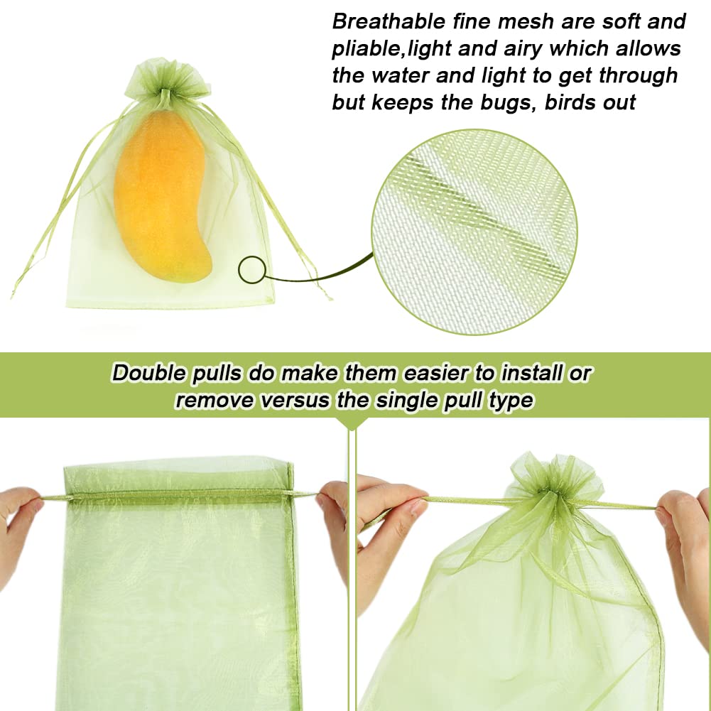 HRX Package green netting cover protects tomatoes while allowing light and airflow