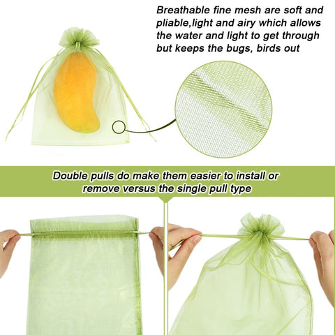 HRX Package green netting cover protects tomatoes while allowing light and airflow