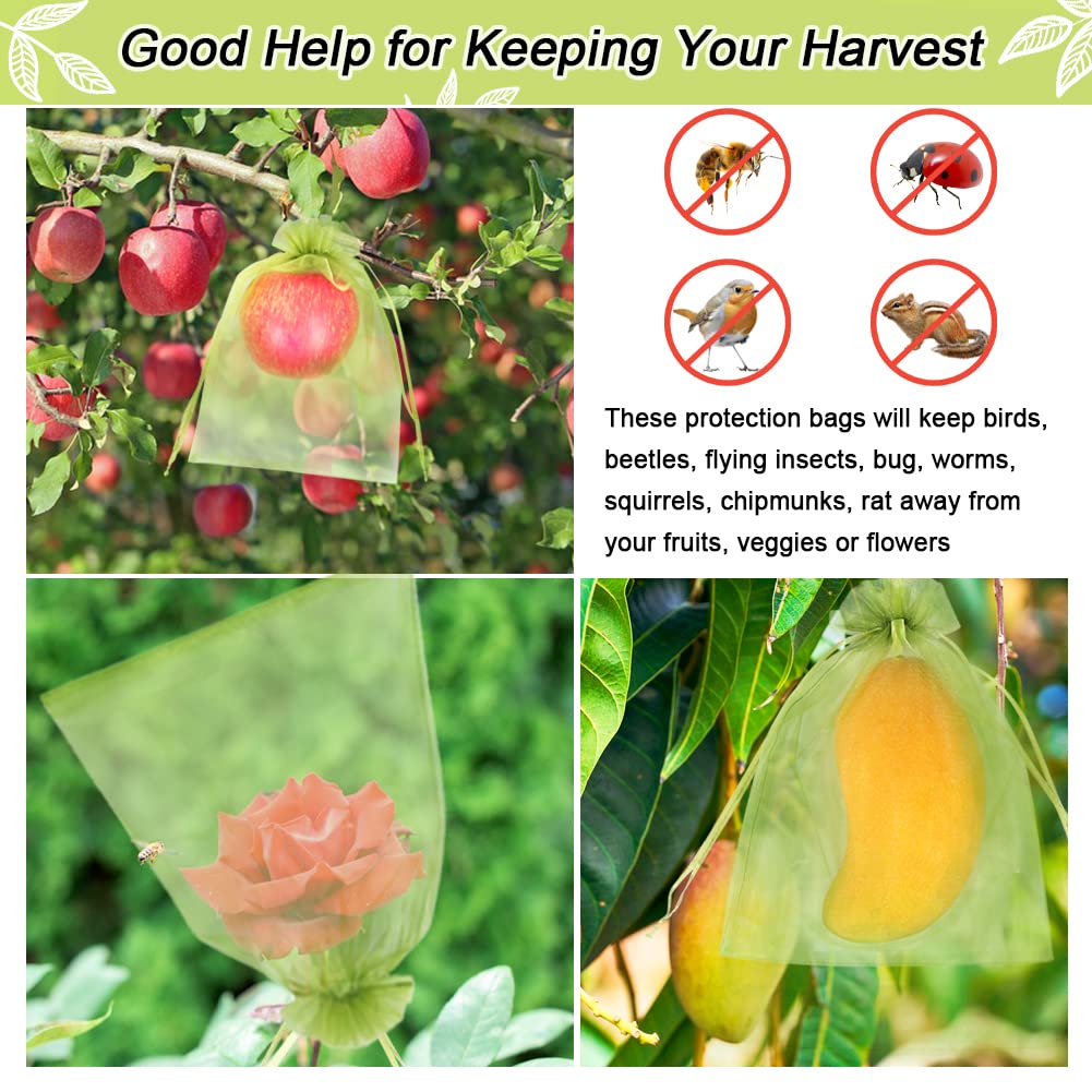 HRX Package 100pcs help deter pests and protect mangoes, tomatoes, and peaches