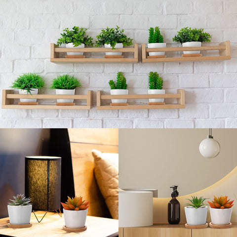 Hsei dorm desk mini pots two and a half inch for small spaces