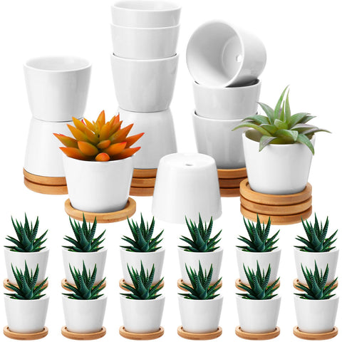 Hsei white ceramic succulent pot with bamboo tray ideal for elegant wedding favors