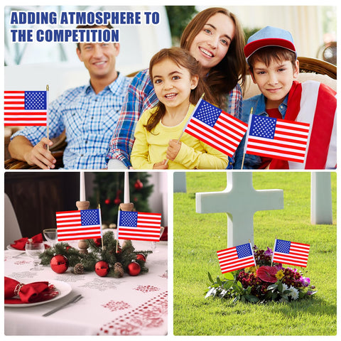 HSQCEZ parade-friendly flags on sticks ideal for celebrations.