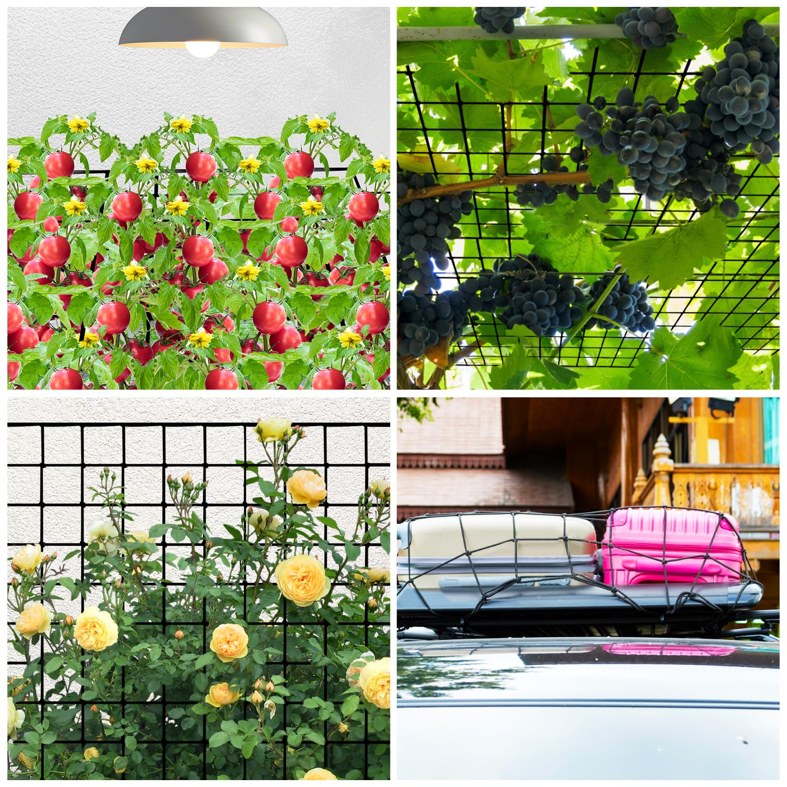 HSTEY adjustable height trellis secured with four-corner hooks.