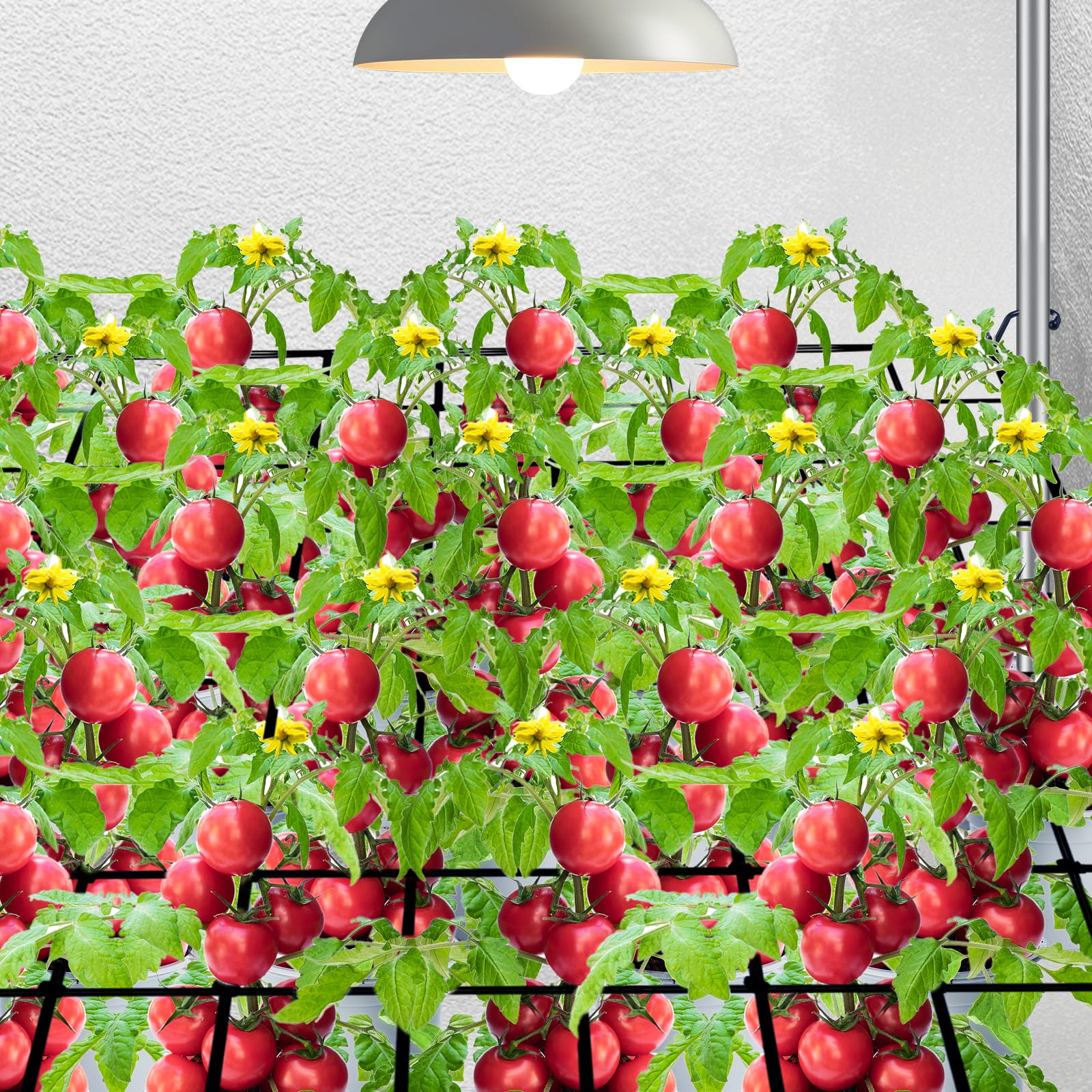 HSTEY trellis supports heavy fruits like tomatoes and peppers.