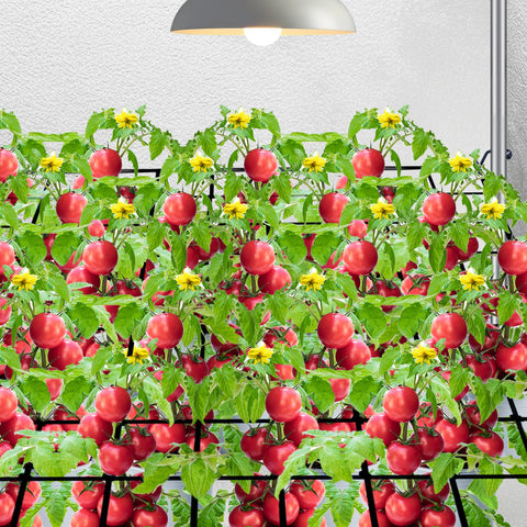 HSTEY trellis supports heavy fruits like tomatoes and peppers.