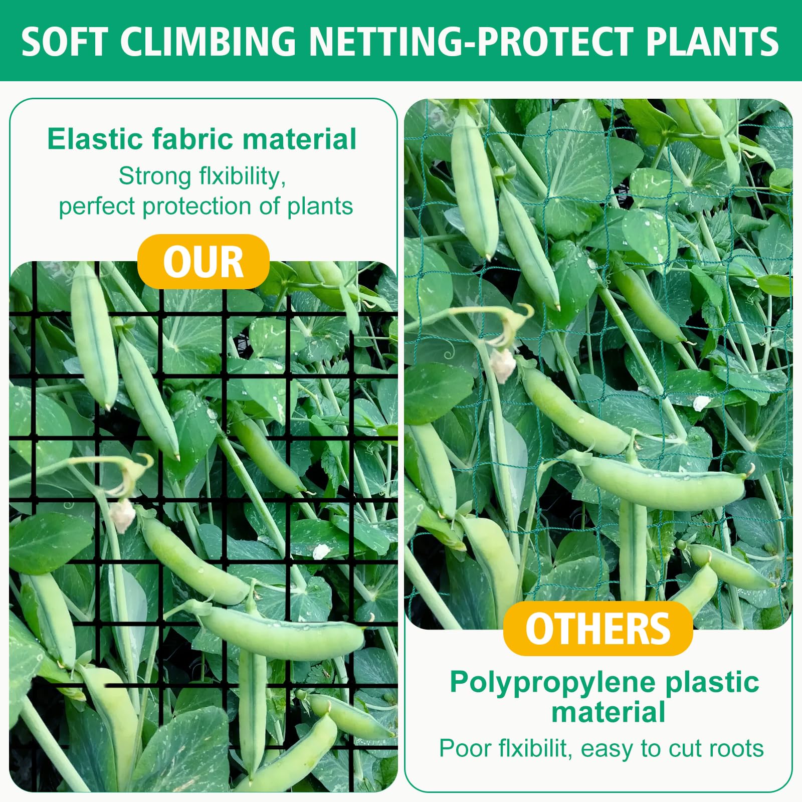 HSTEY design provides space for pruning and fruit picking.