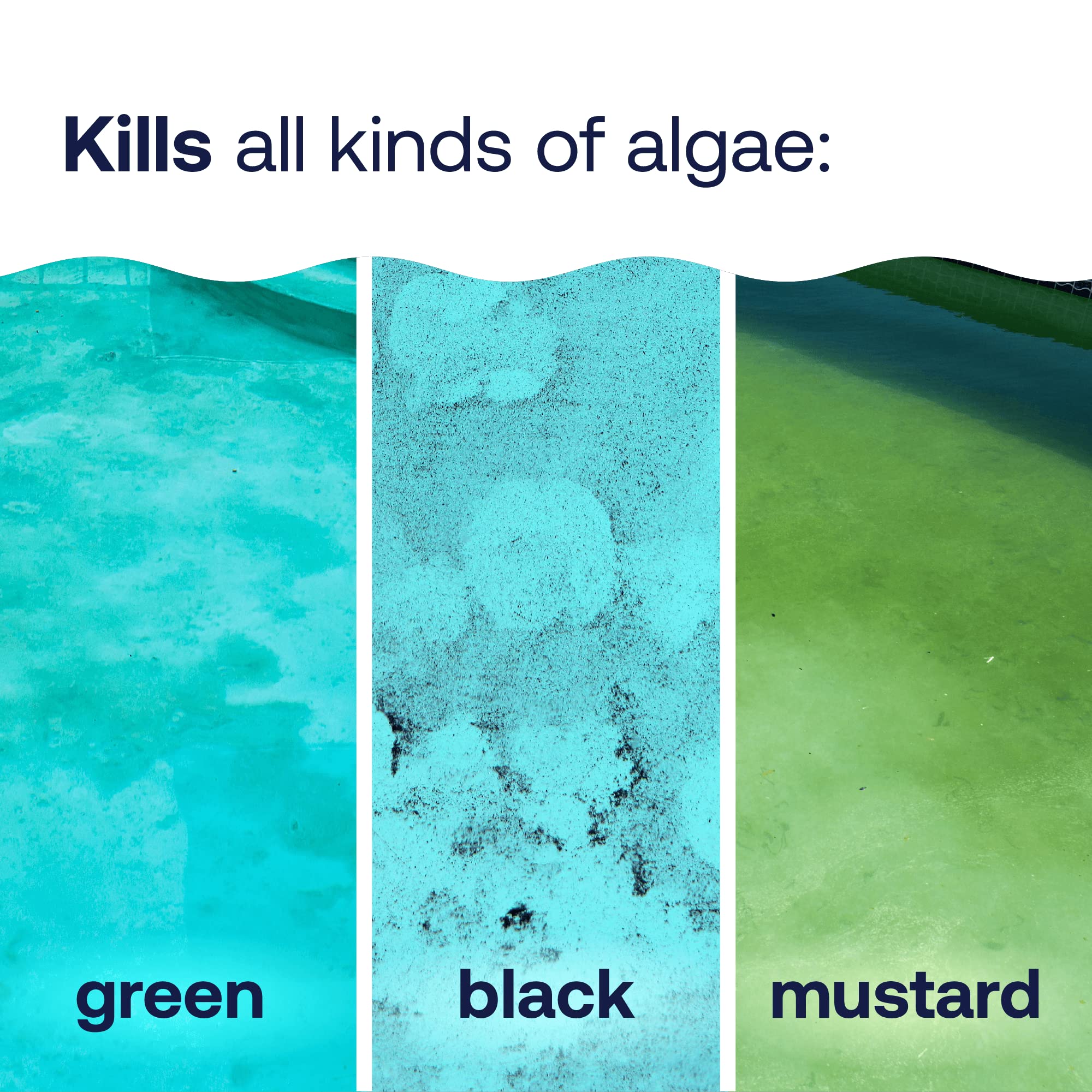 HTH Algae Guard Advanced combats black algae across pool types.