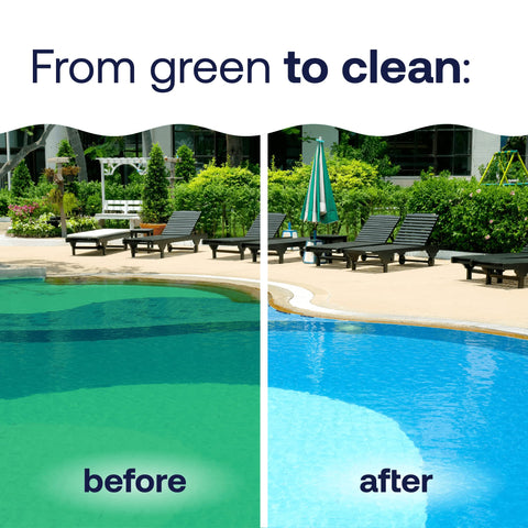 HTH Algae Guard Ultra demonstrated against green, black, and mustard algae