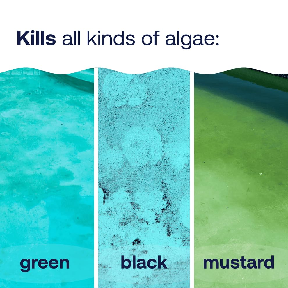 Crystal-clear pool water after using HTH Algae Guard Ultra