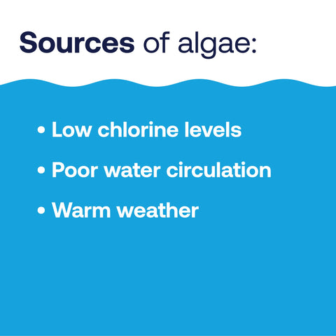 HTH Algae Guard Ultra suitable for saltwater pool systems