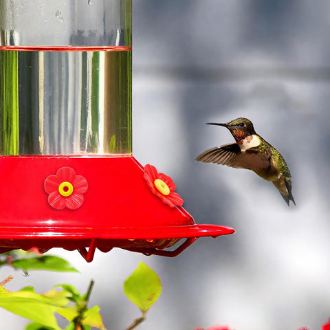 Hualleko 0.35 inch port compatibility supports most feeders.