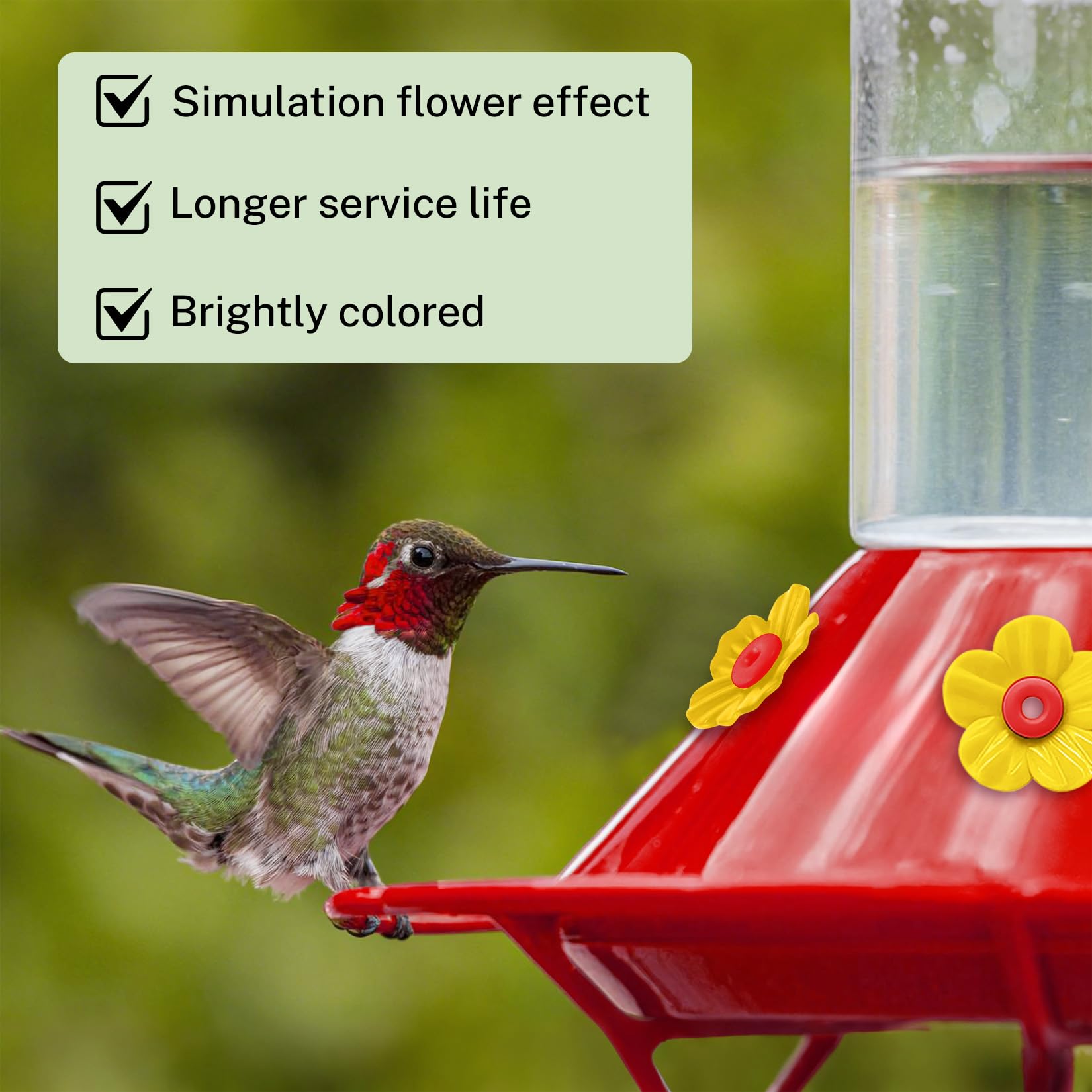 Hualleko bee guard design blocks insects while birds feed.