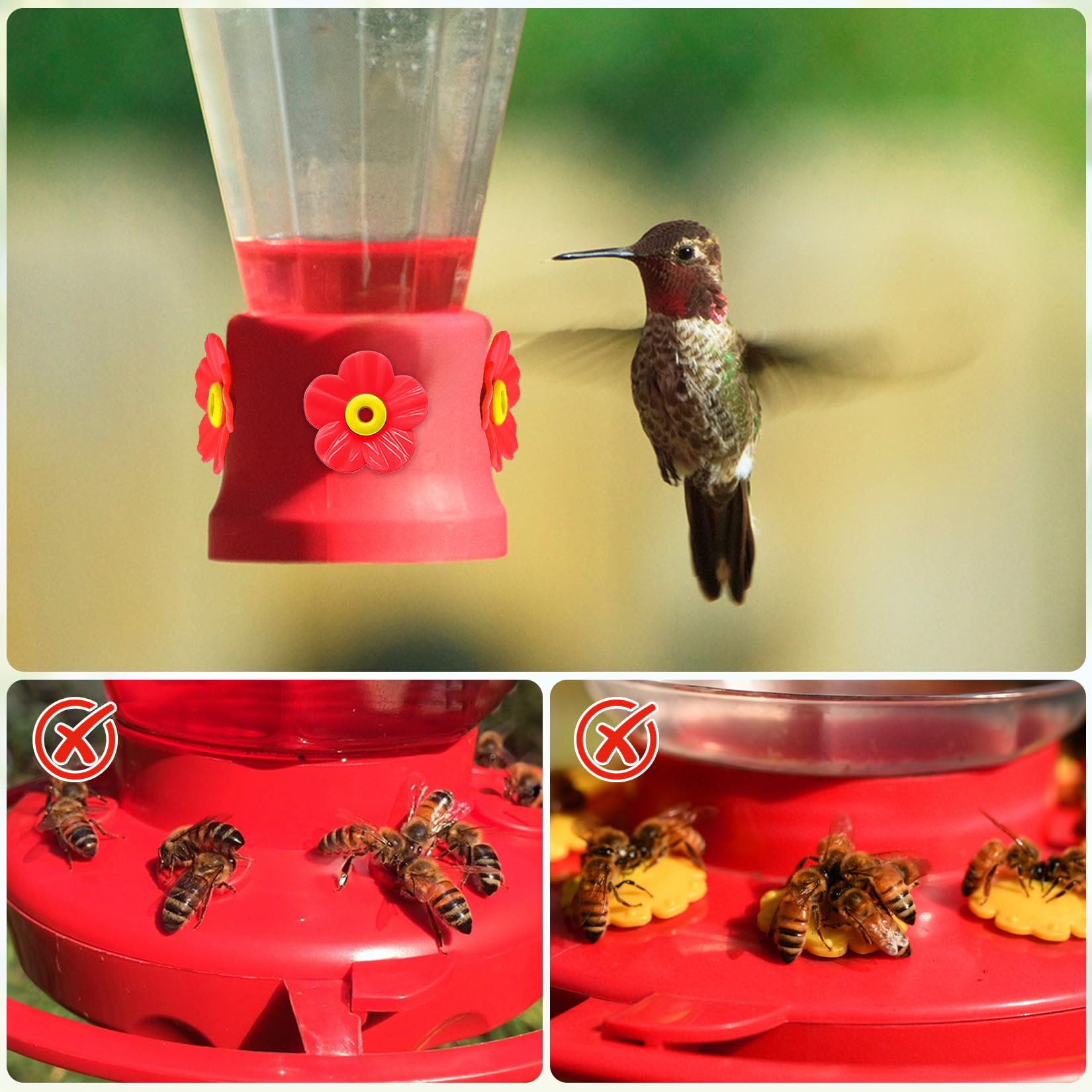 Hualleko bee guards block insects while hummingbirds feed.