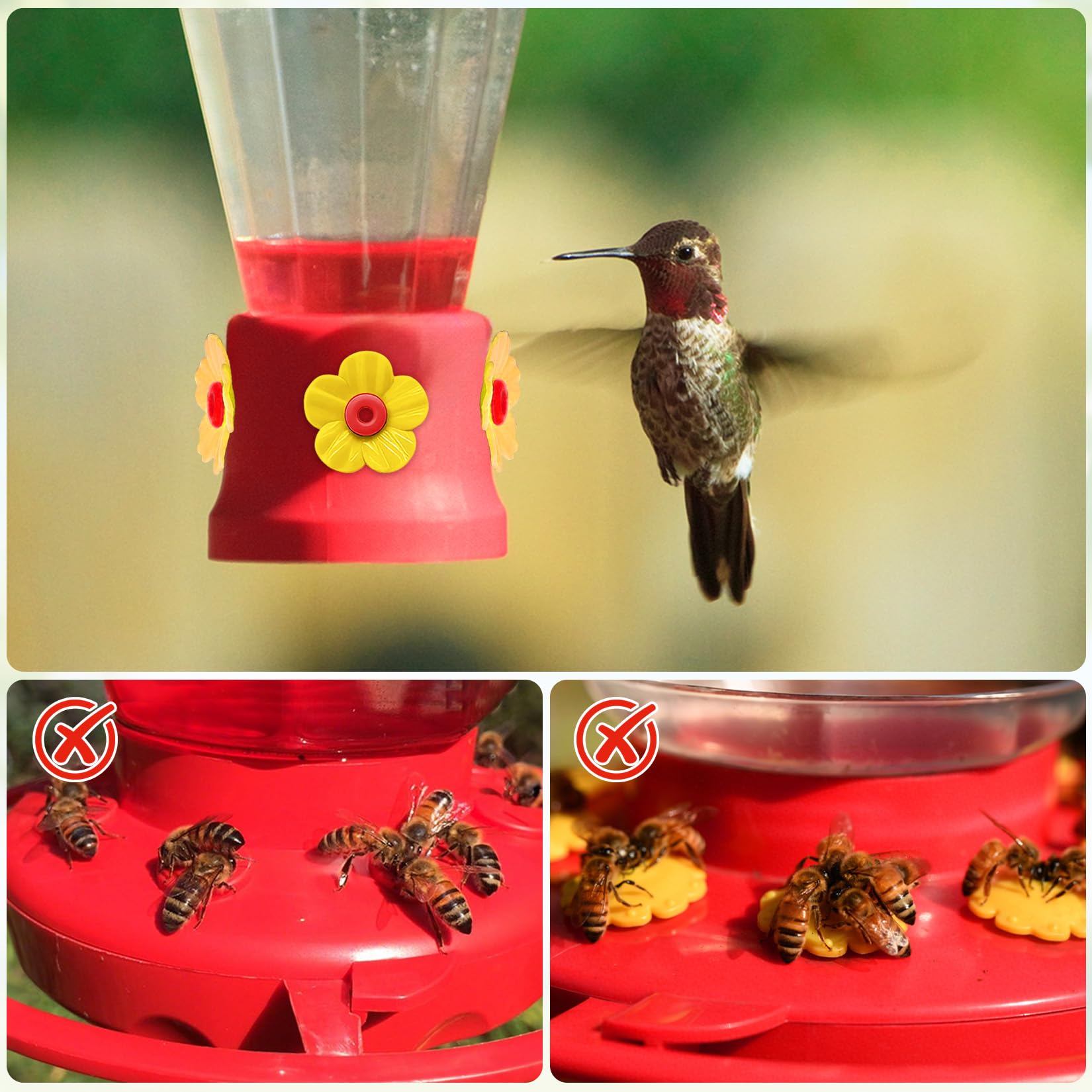Hualleko bionic flower detail enhances feeder appeal.