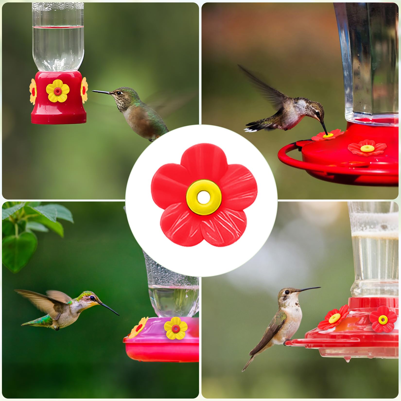 Hualleko durable outdoor kit refreshes multiple feeders affordably.