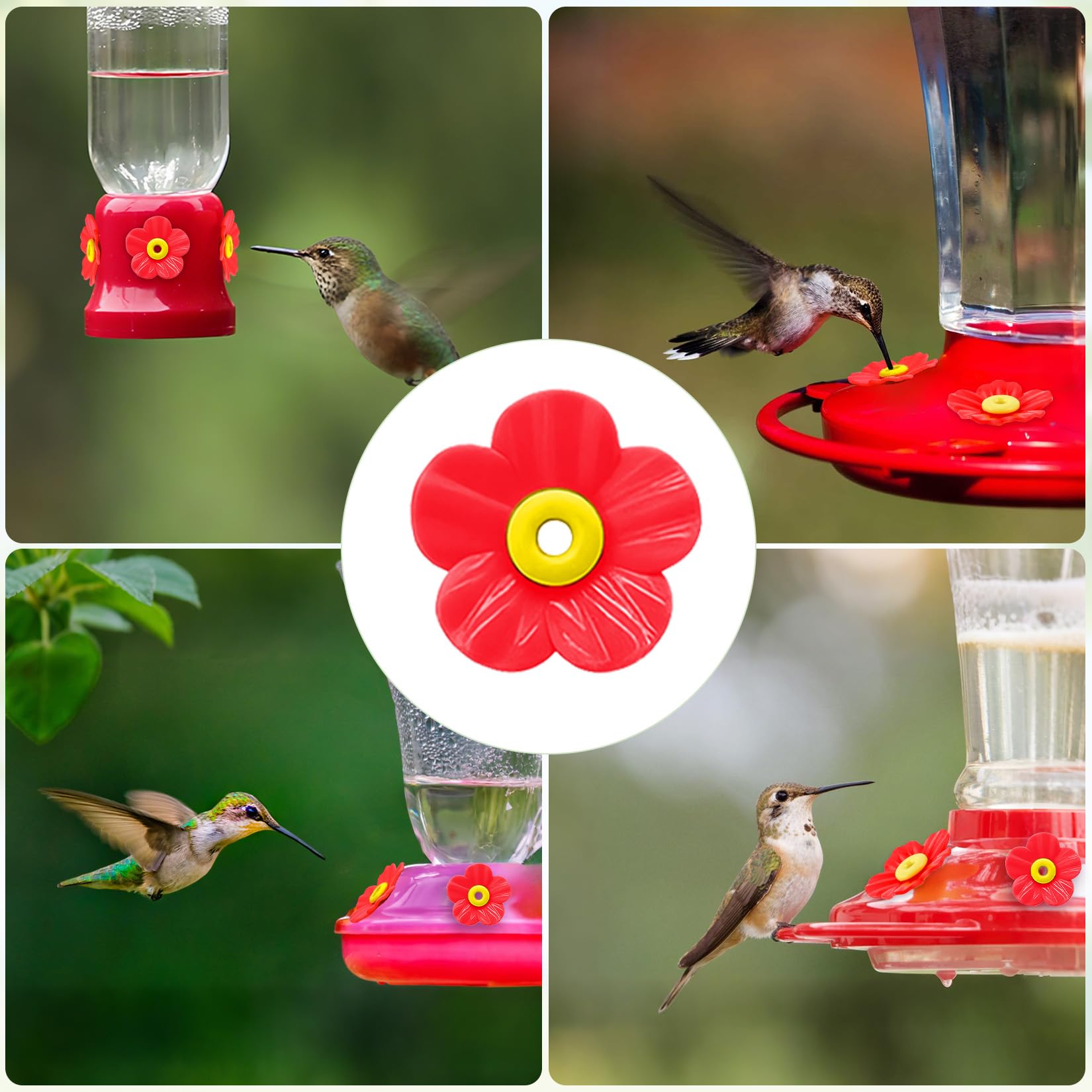 Hualleko outdoor kit supports multiple feeders with replacement flowers.