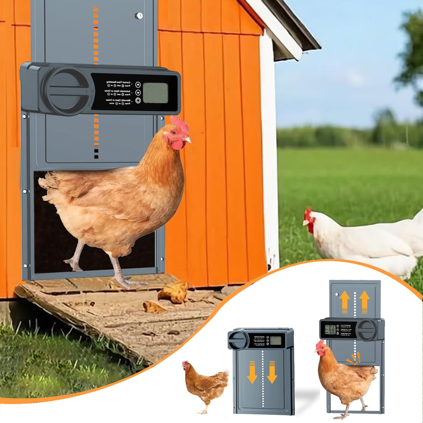 HUAYUANDA anti-pinch sensor ensures safe movement for resting poultry