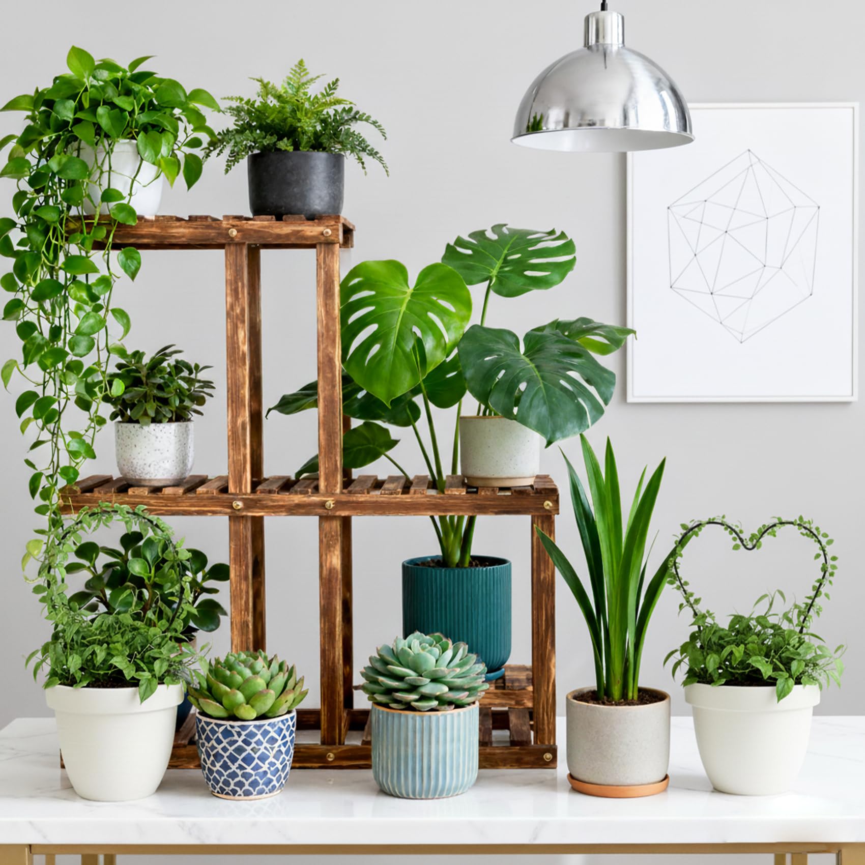 Hufopik Hoya-friendly trellis encourages vigorous growth in houseplants.