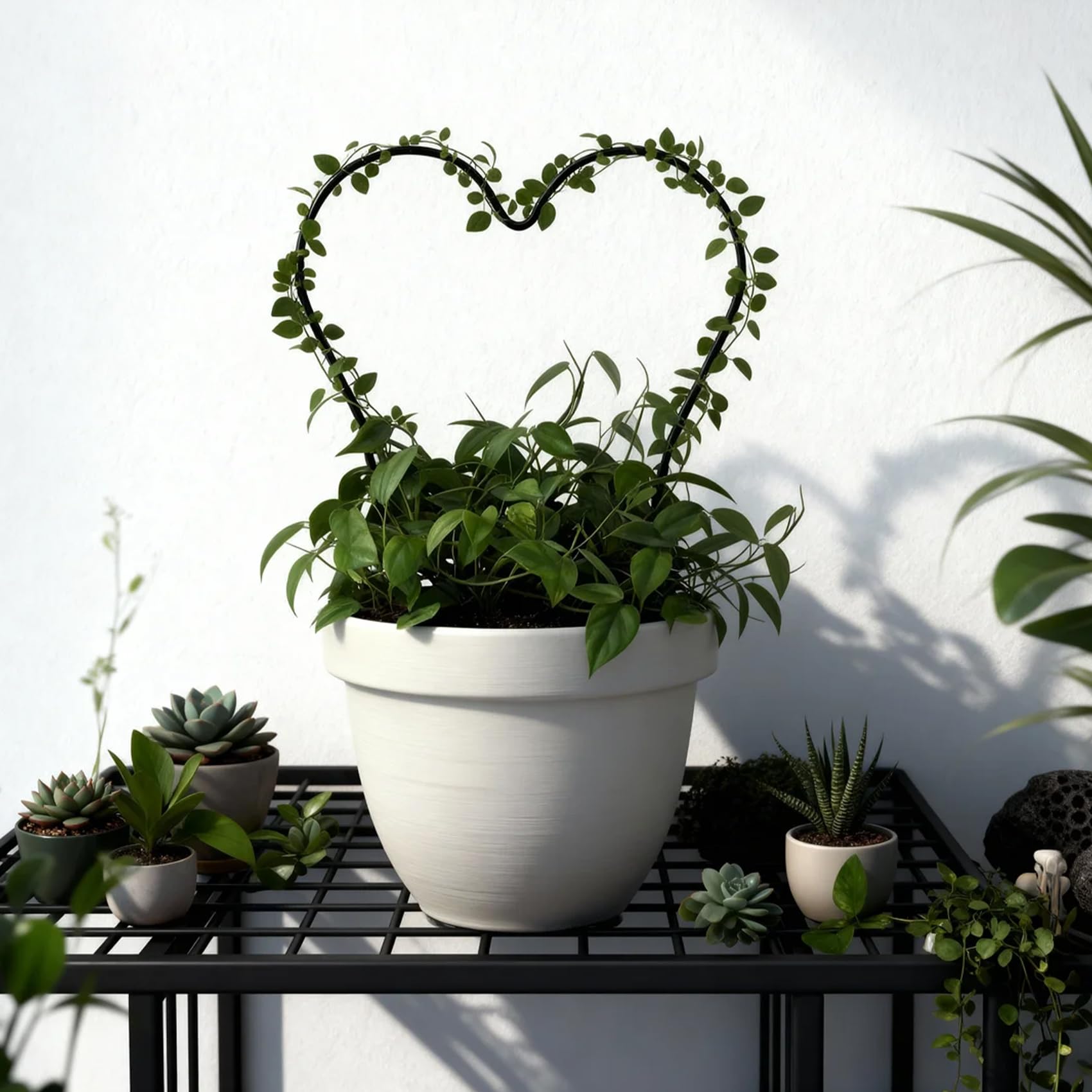Hufopik Sturdy-support keeps climbing plants stable as they grow.