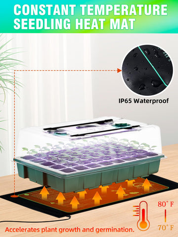 Hugbow base tray set organizes seedlings for compact indoor spaces.