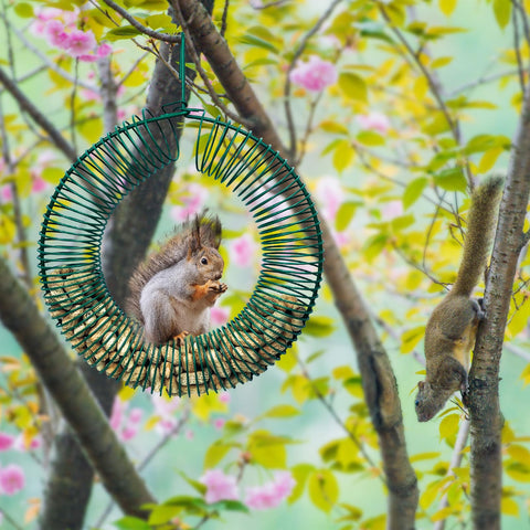 HugeLeaf feeding solution supports consistent bird food access in your yard