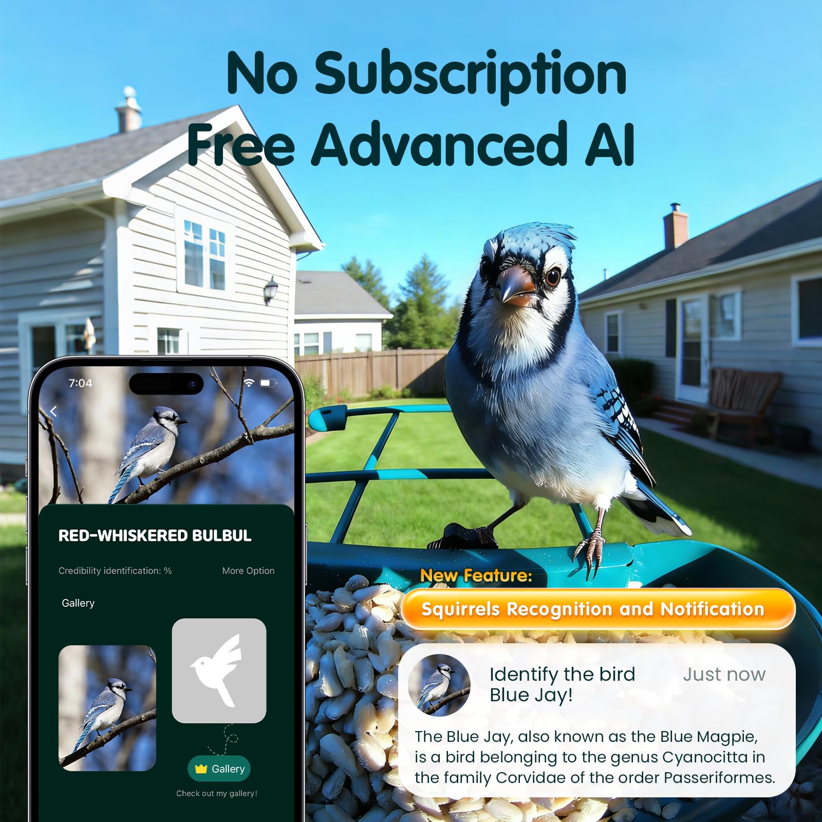 Humbirdy AI identification identifies 10k species for backyard learning.