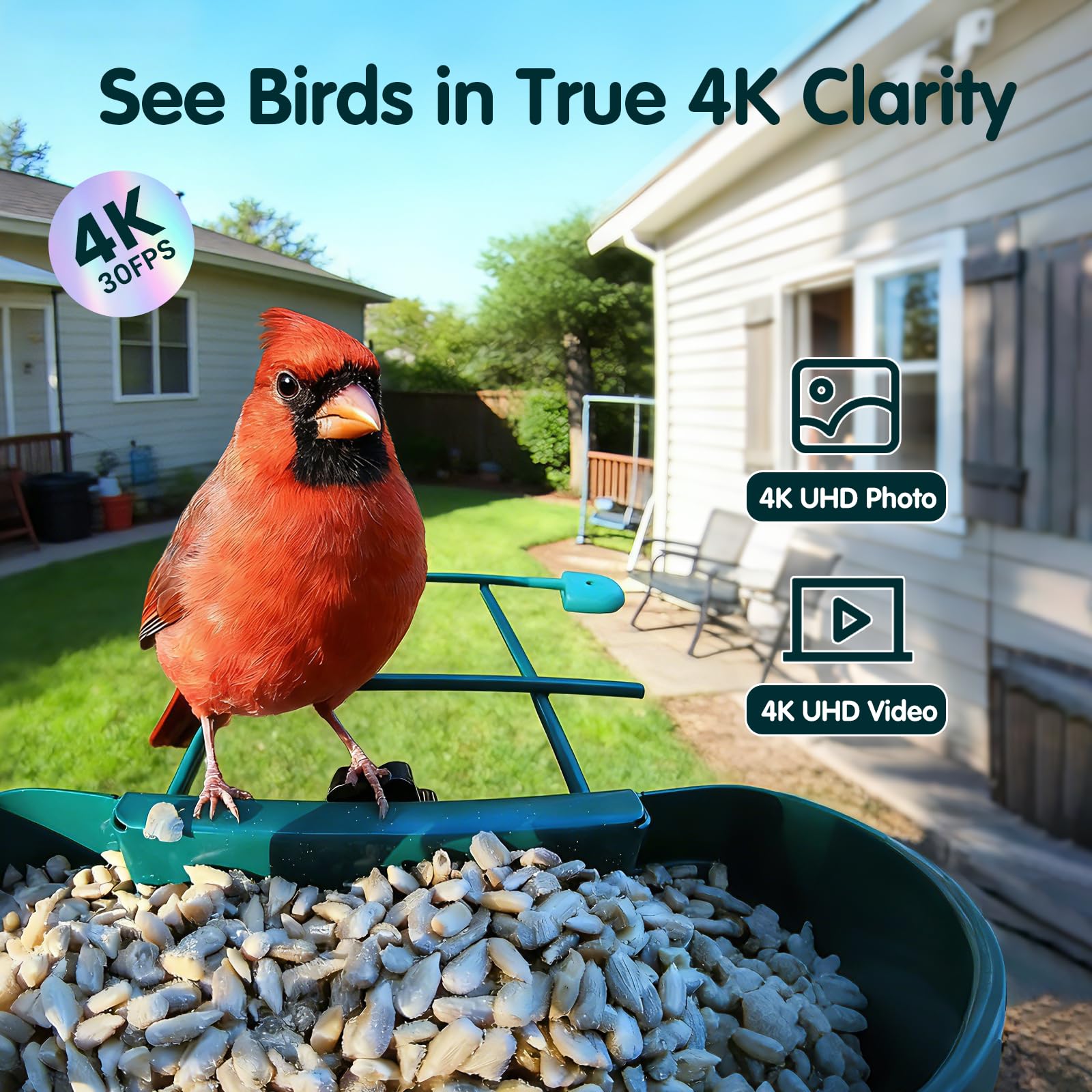 Humbirdy Bird Feeder Camera 1080p Slow Motion highlights wingbeats and details.
