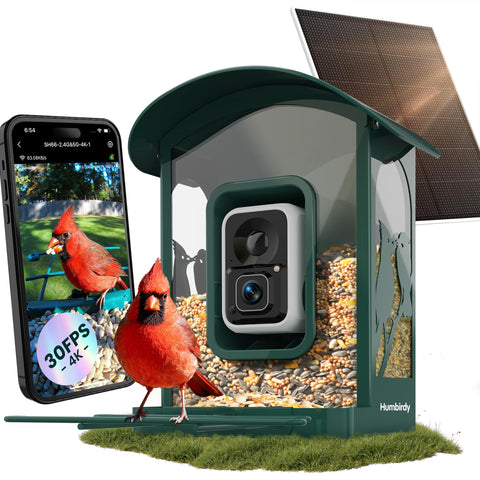 Humbirdy Bird Feeder Camera 4K Live View captures vivid backyard birds in real time.