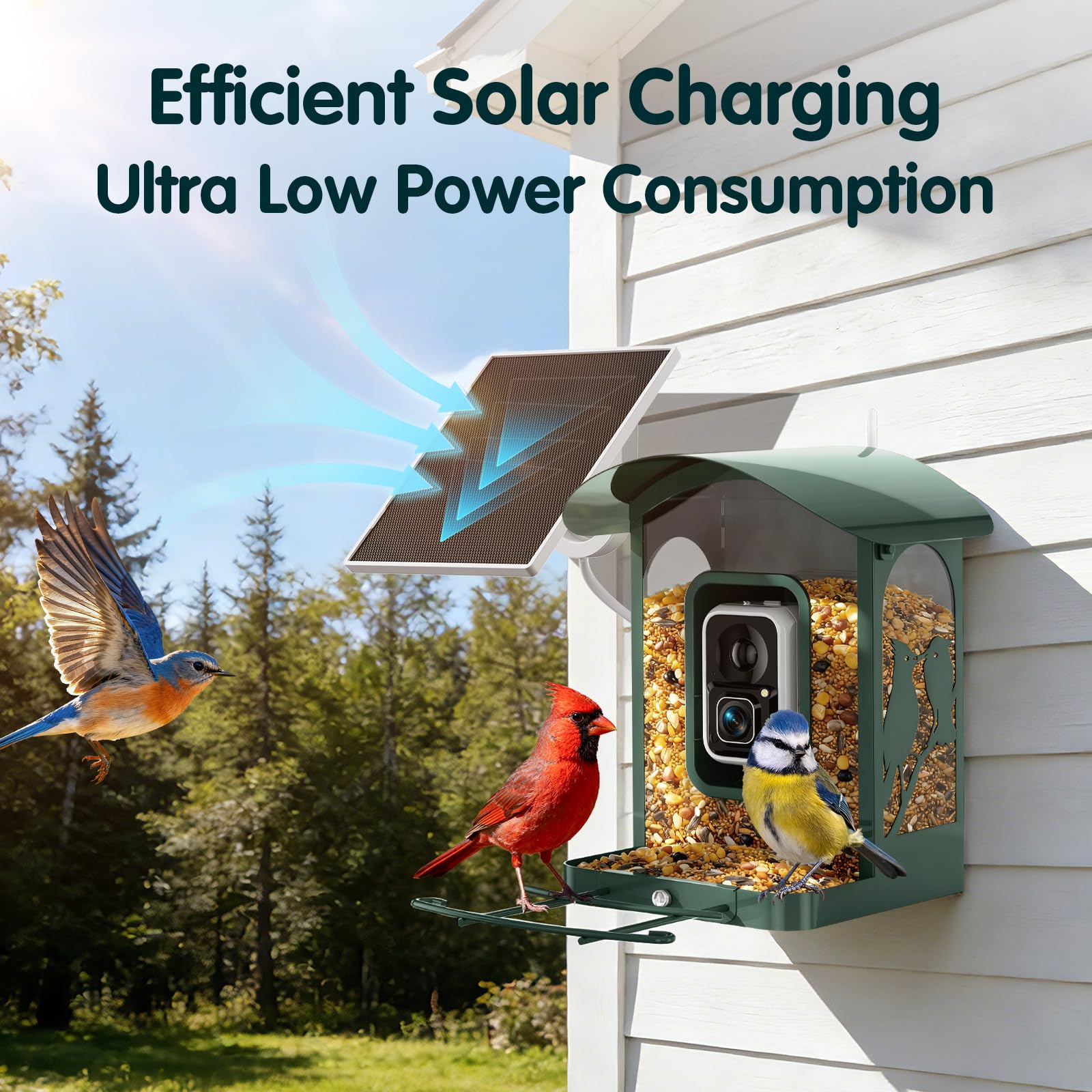 Efficient solar panel powers the camera with minimal downtime.