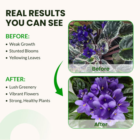 Humboldts Secret Base A&B applied to leafy greens for vibrant leaves.