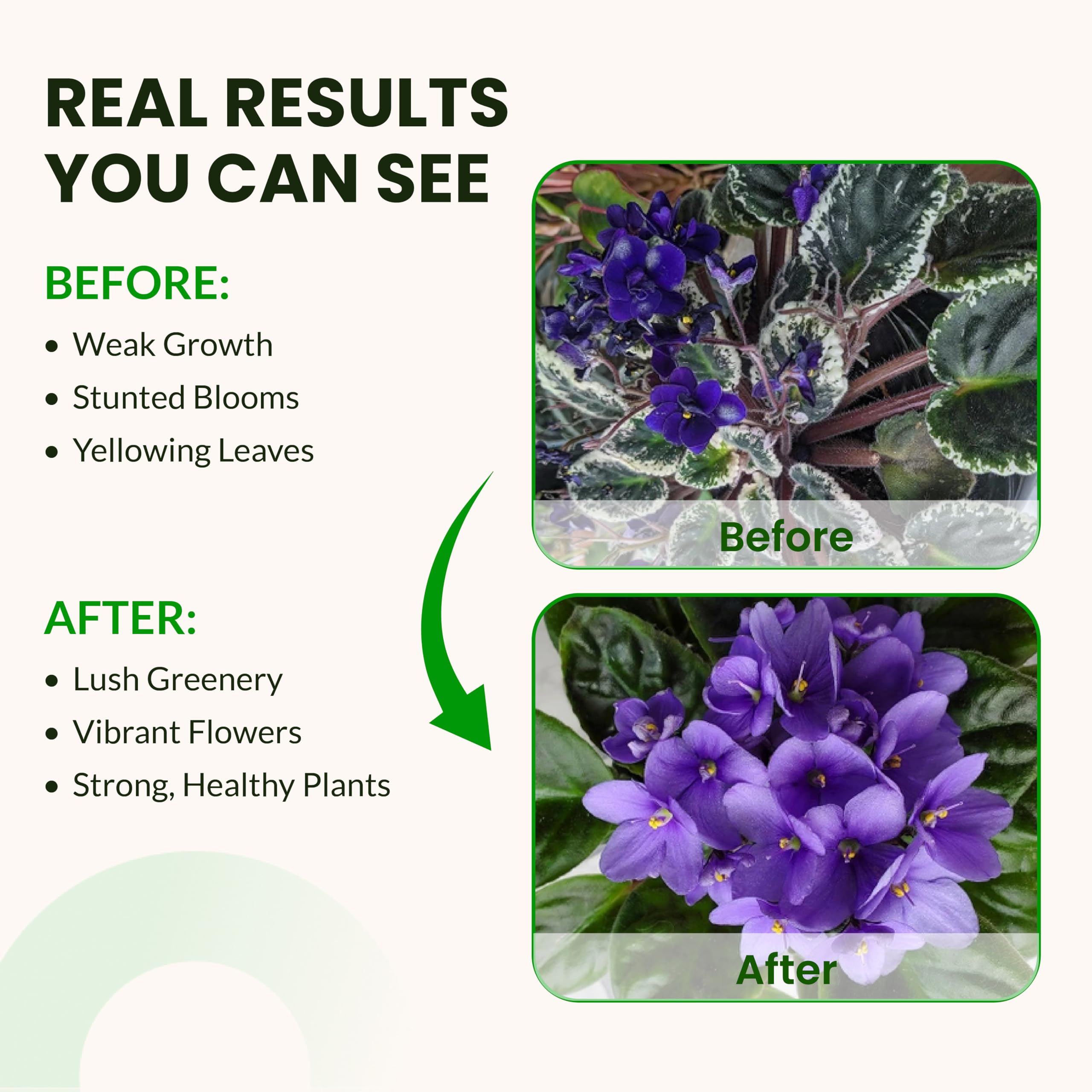 Flowering buds image suggests boosted bloom potential when using Base A & B.