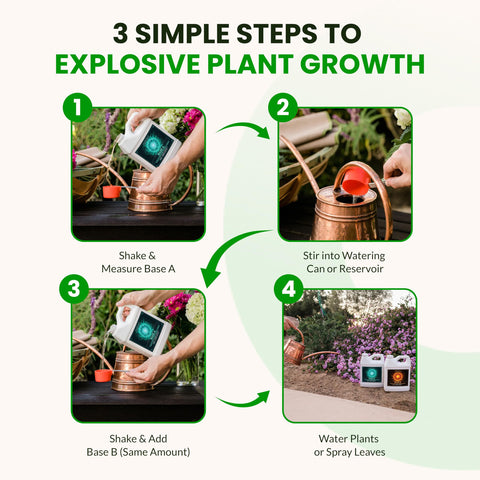 Healthy green leaves illustrate lush vegetative growth with Base A & B.
