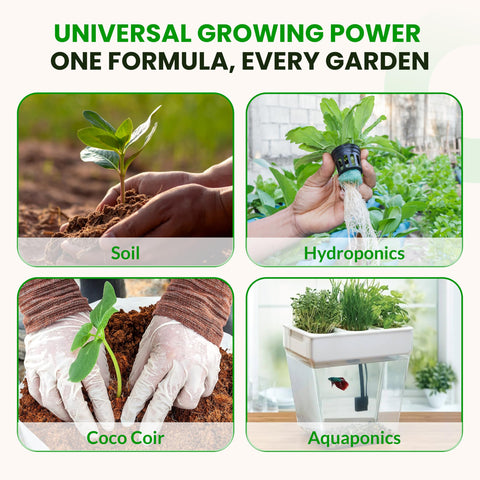 Humboldts Secret CalMag Iron supporting healthy foliage in vegetables.
