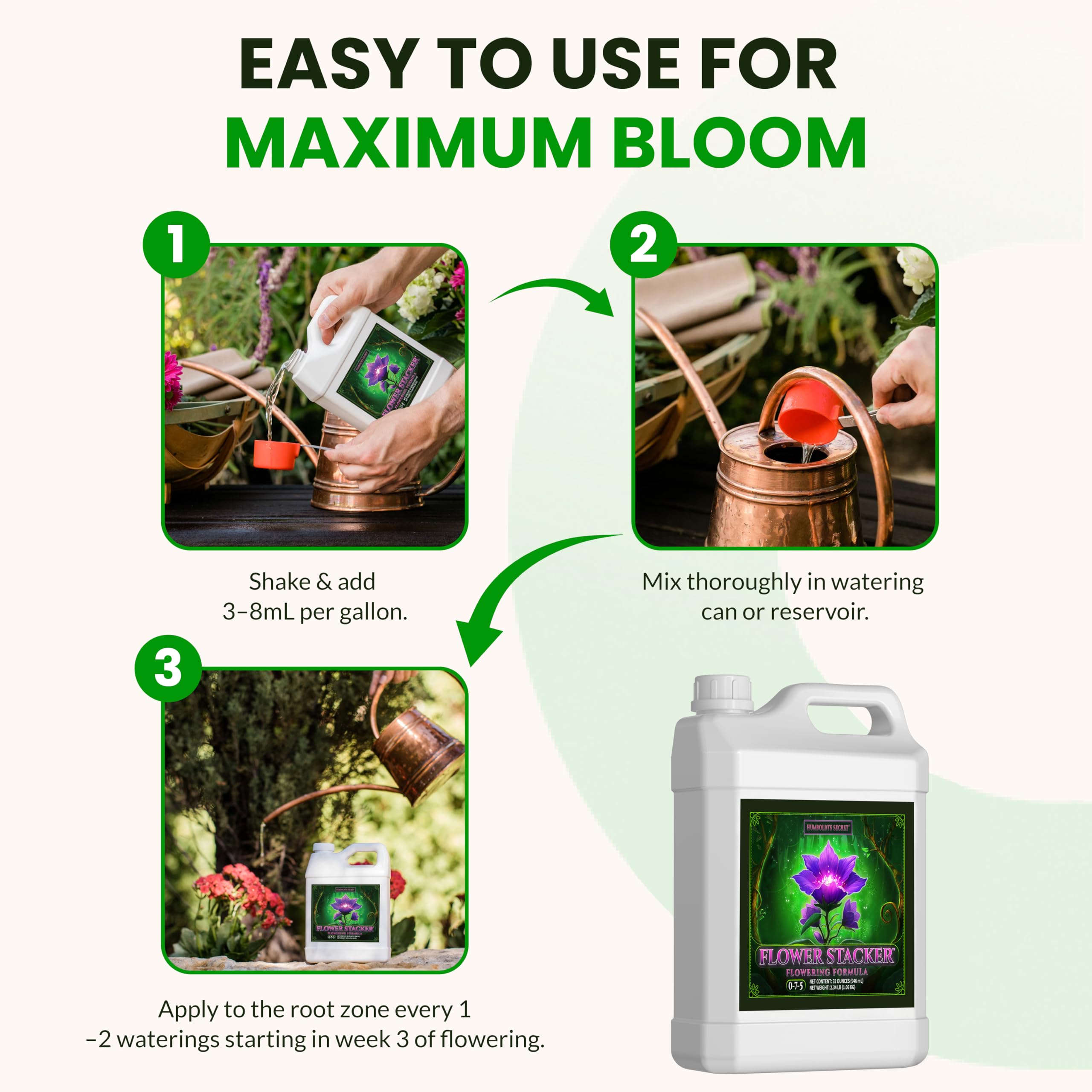 Dense buds stage supported by Flower Stacker in bloom
