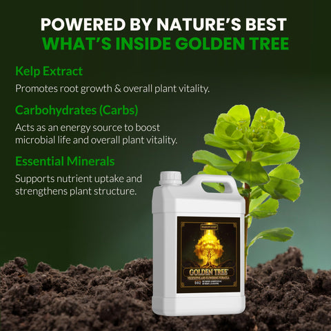 Outdoor garden thriving with Golden Tree nutrients
