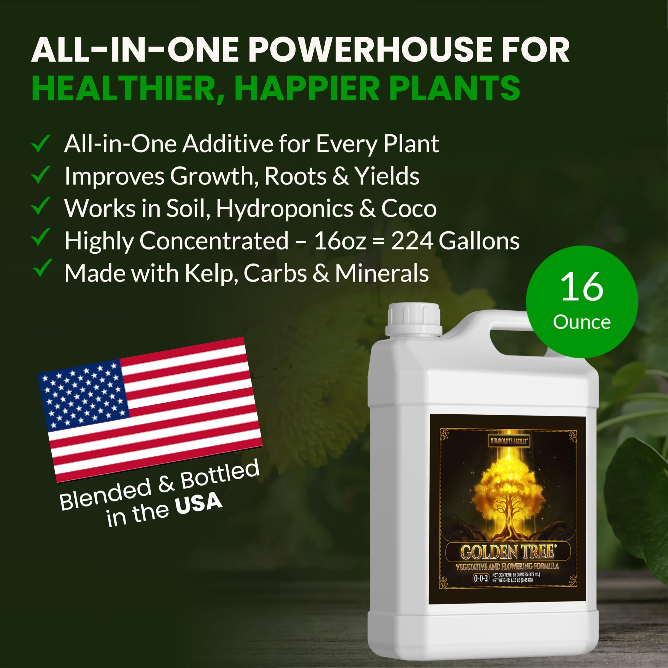 Rose bushes outdoors benefit from Golden Tree nutrient boost