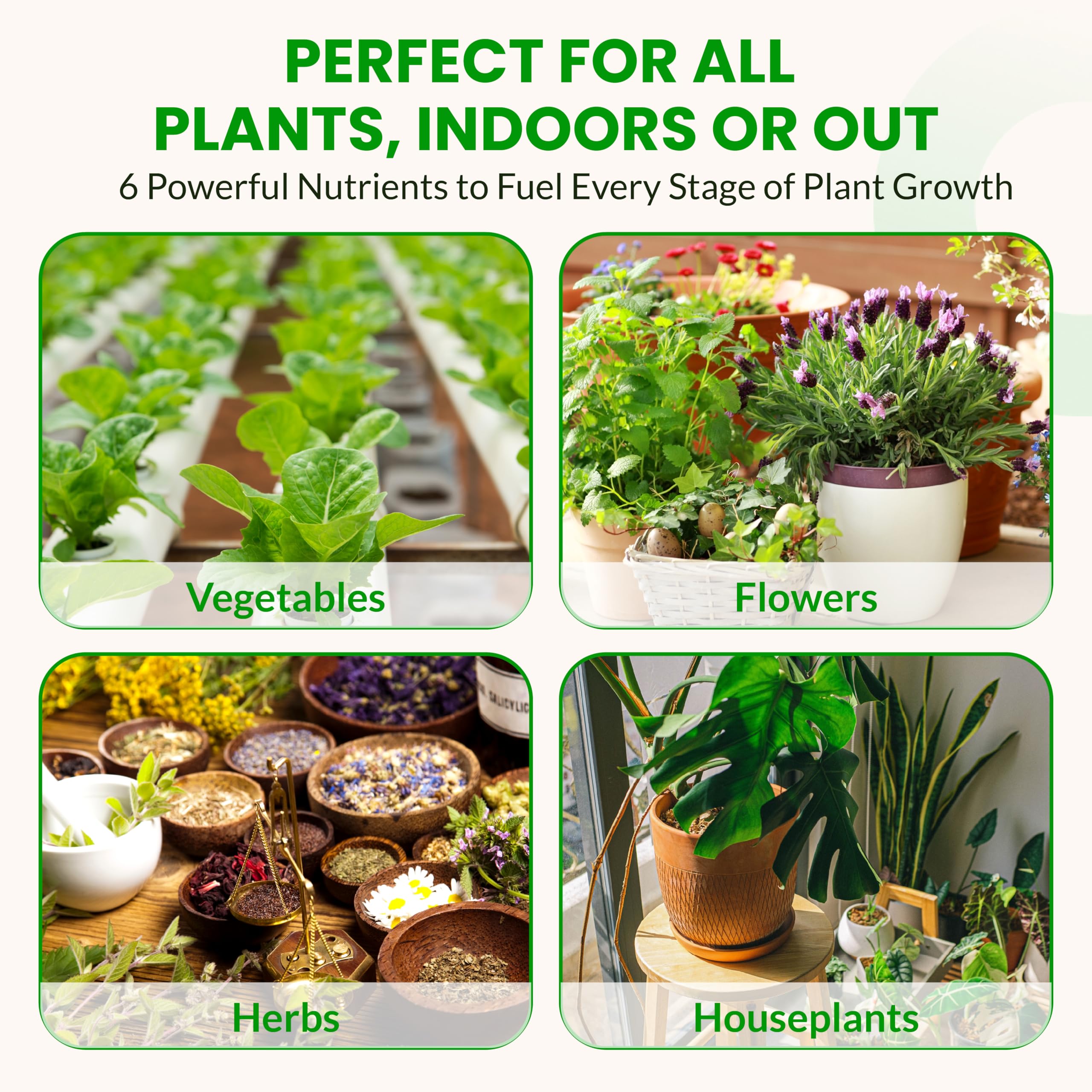 Humboldts Secret nutrients compatible with hydroponics, soil, and coco coir.