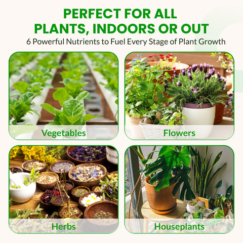 Humboldts Secret nutrients compatible with hydroponics, soil, and coco coir.