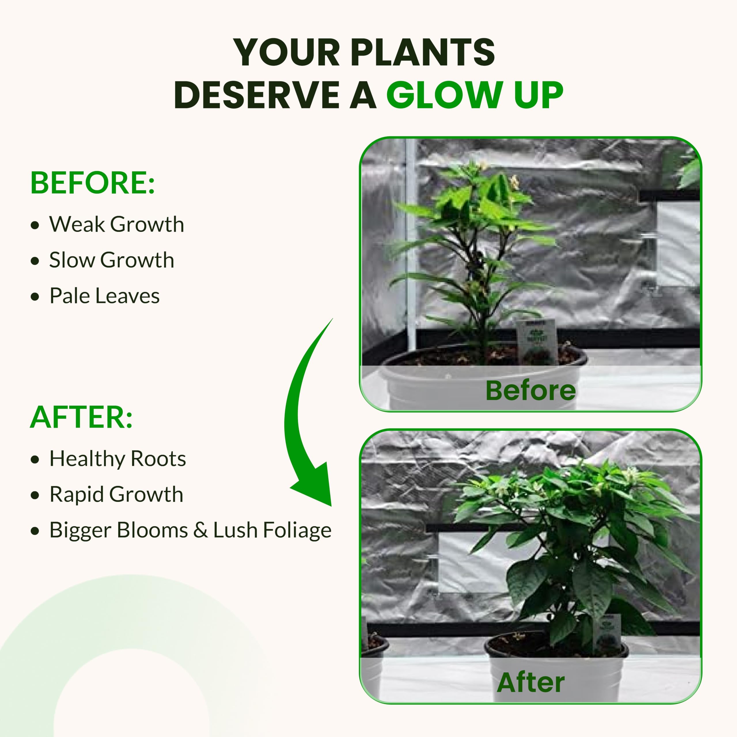 Humboldts Secret indoor plant feeding solution for houseplants and herbs.