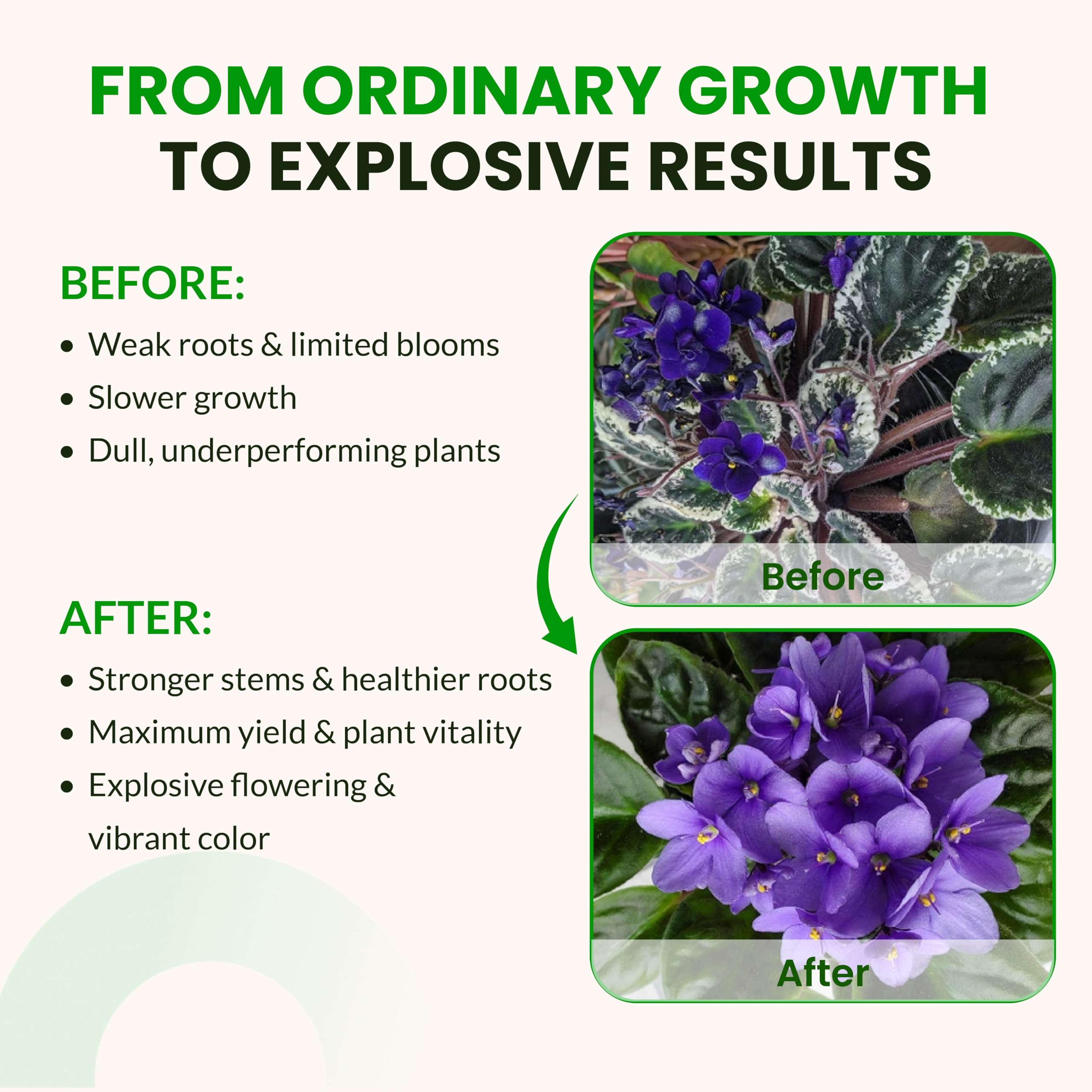 Humboldts Secret MKP bloom-fruit-harvest supports flowering and fruit quality.