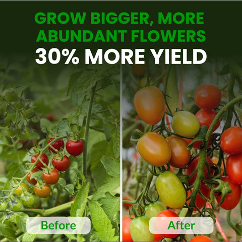 Packaging update signals consistent formula across batches